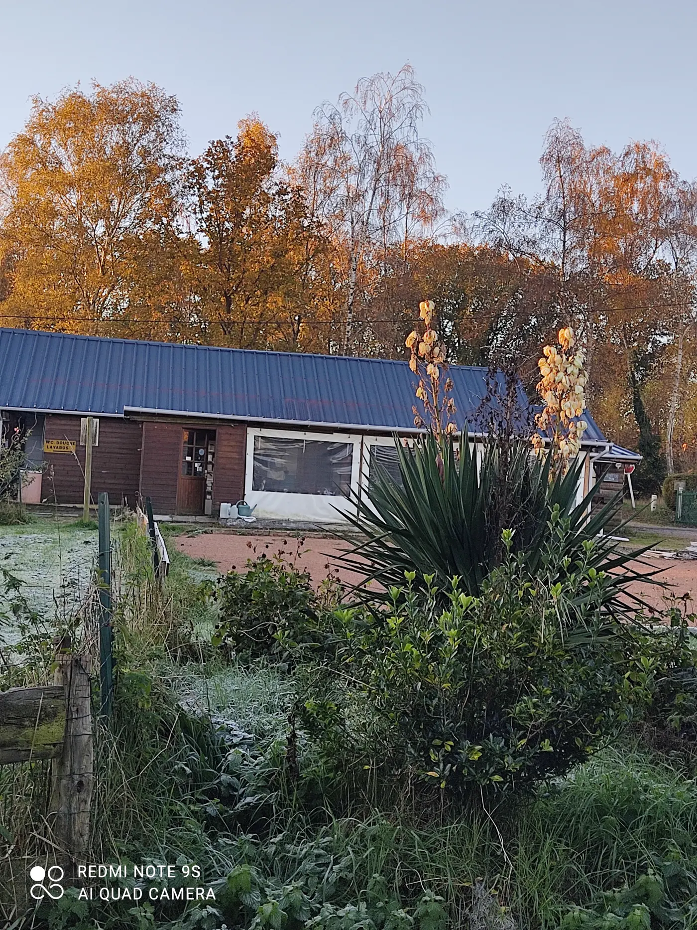 Le chalet du camping en automne