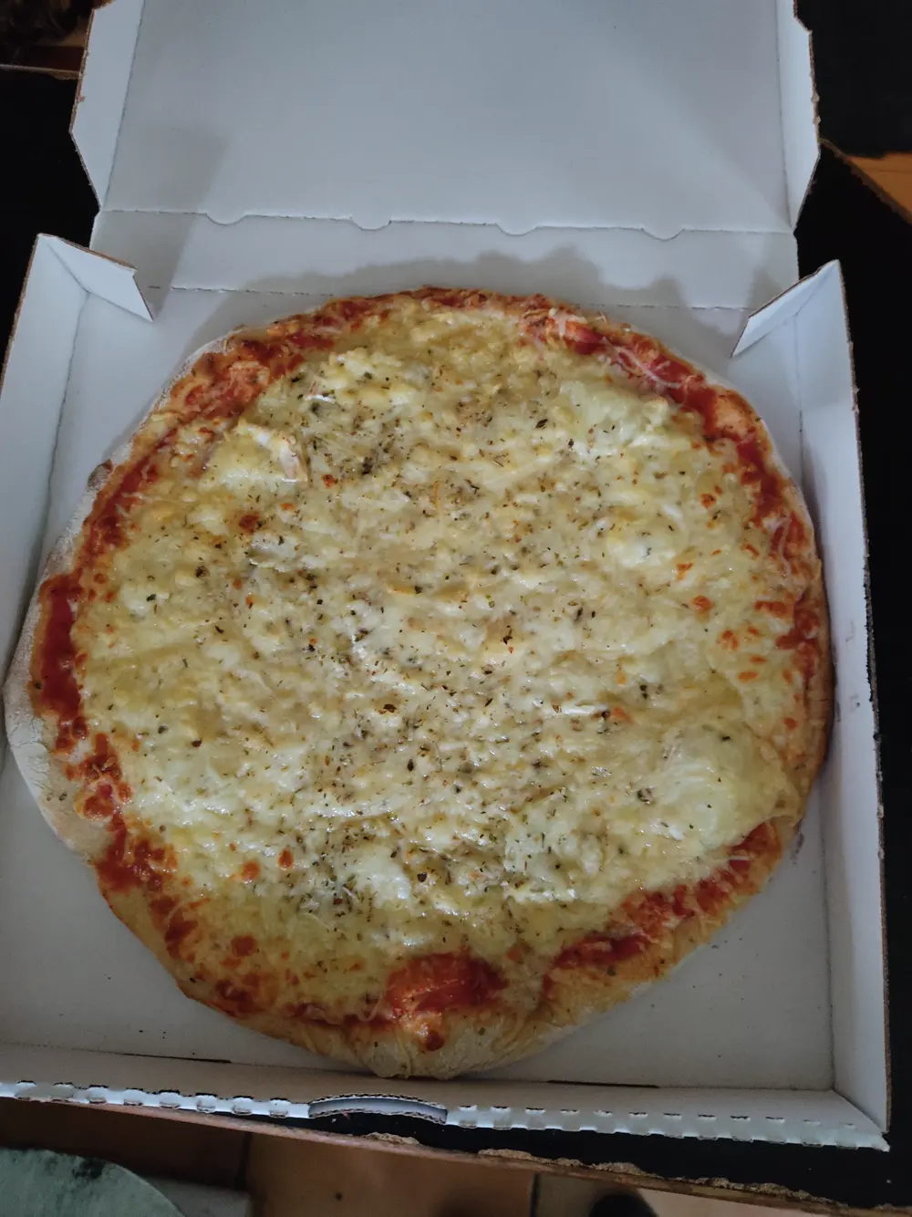 Une pizza au fromage